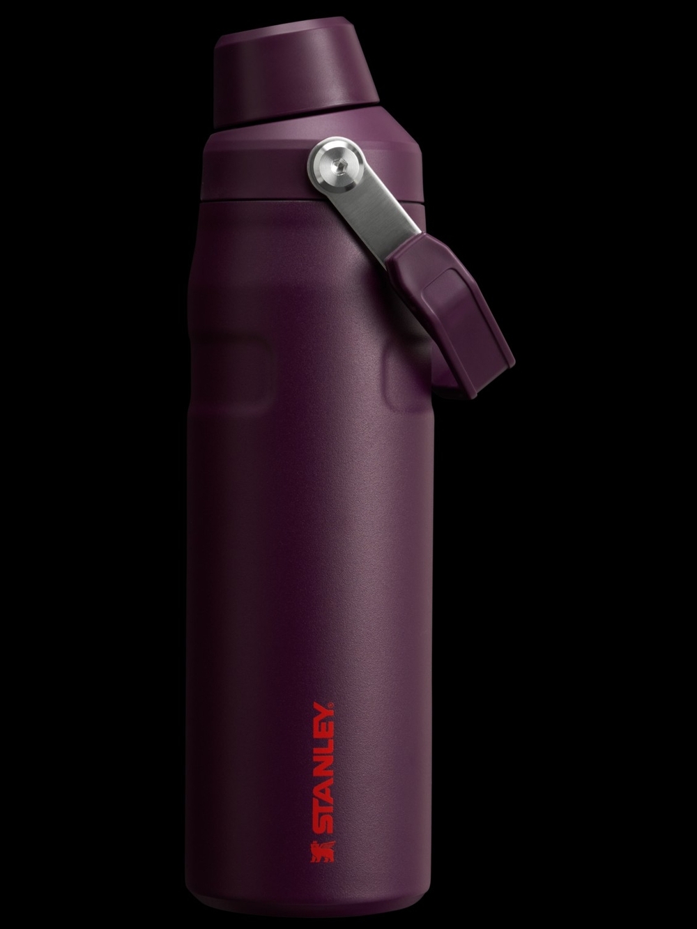 NEW Stanley IceFlow 24 oz Bottle with Fast Flow Lid - Picture 2 of 6